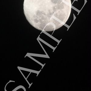 夜の月