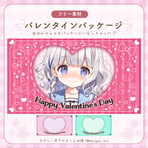 自分がチョコのパッケージになっちゃうセット！