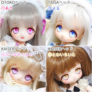 カスタムヘッド 〈OBヘッド 『KAISER』〉 - wisteriachien - BOOTH