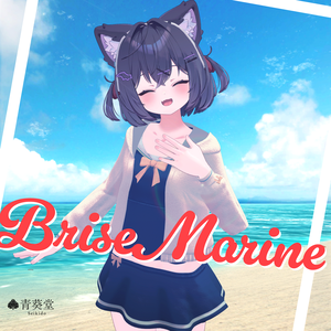 【VRChat対応/68アバター対応】BriseMarine