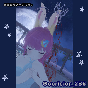 rabbit　princess 缩略图 11