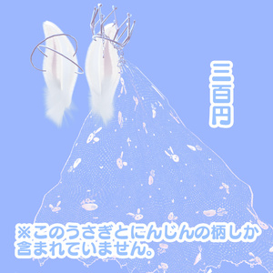 rabbit　princess 缩略图 2