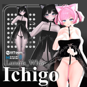 Full Pakage 50%セール _ ICHIGO Pack 缩略图 5