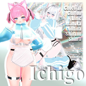 Full Pakage 50%セール _ ICHIGO Pack 缩略图 6