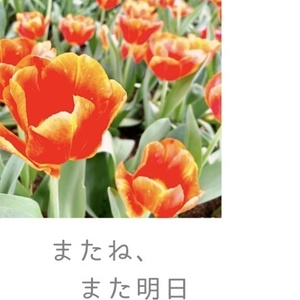 【小説】竹綾「またね、また明日」