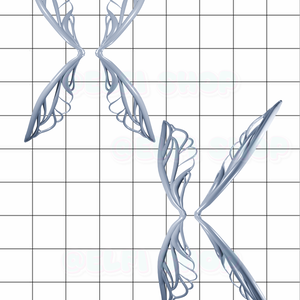 fairy wings