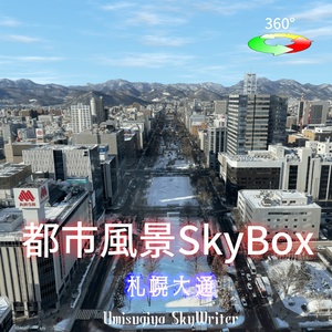 都市風景Skybox - 札幌大通