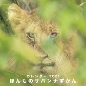 2021カレンダー ほんものサバンナずかん
