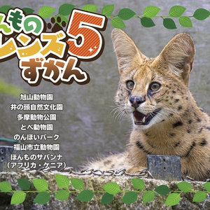 サーバル写真集の詰め合わせセット!