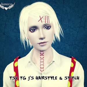 TS3 TG J's Hairstyle & stitch
