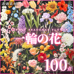 【透過素材100点】一輪の花｜春夏秋冬（png）