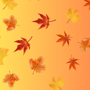 紅葉のデジタルペーパー