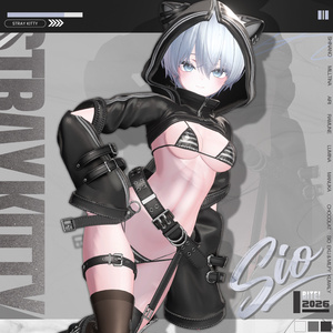 【12アバター対応】 Stray Kitty🐈‍⬛ 缩略图 11