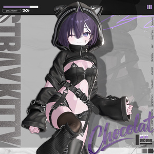【12アバター対応】 Stray Kitty🐈‍⬛ 缩略图 9