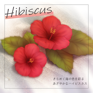ハイビスカス hibiscus