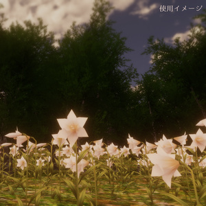 Lilly ユリの花 缩略图 5
