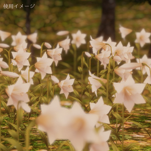 Lilly ユリの花 缩略图 4
