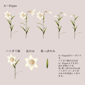 Lilly ユリの花 缩略图 2