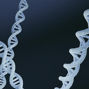 【3D素材_fbx】DNA