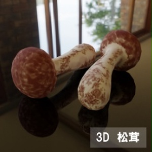 【3D素材_fbx】松茸