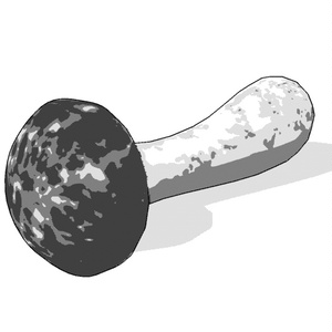 【3D素材_fbx】松茸 缩略图 4
