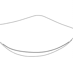 【3D素材_fbx】木製の皿 缩略图 5