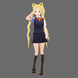 Usagi-style Hair