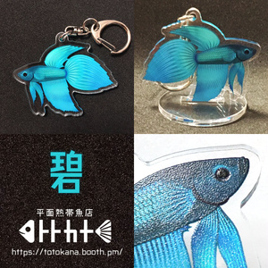 マヌルネコ アクリルキーホルダー - キクチミロBOOTH - BOOTH