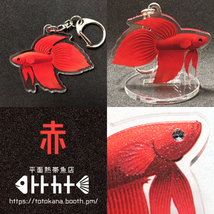 マヌルネコ アクリルキーホルダー - キクチミロBOOTH - BOOTH