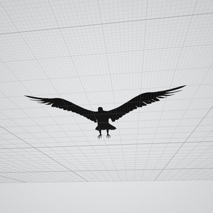 鳥　　3dmodel