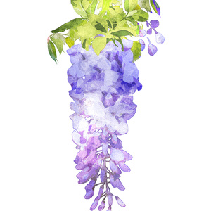 すずらんの花 5輪(カラーと線画合計10枚) - みずの ゆめ屋 - BOOTH