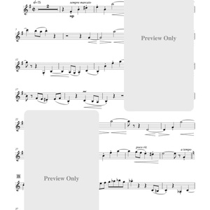[楽譜 Score & Parts] ORBHERIO for Strings