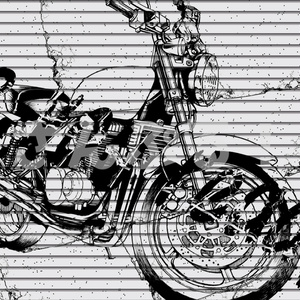 SP画面切替【Monochrome shutter 5種】映像素材：トランジション：Youtuber：Vtuber