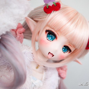 MDD (S胸)、かわいい猫メイドさん5点セット - 喵屋Mv+Studio