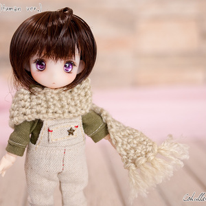 専用　ウィッグ4個 新4.5inchウィッグ＆メタリック尾櫃瞳α改 着用見本 | オビツ