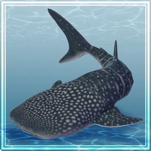3Dモデル　ジンベイザメ　ジンベエザメ　Whale Shark