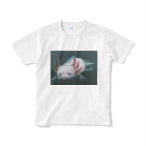 axolotl