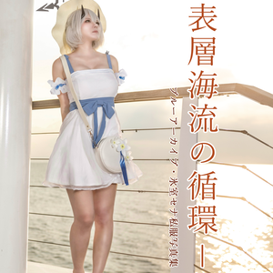 【C106新刊】氷室セナ私服写真集【ブルアカ】