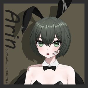  Arin 【オリジナル３Dアバター】VRC／VRM