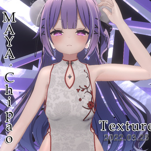 Maya Chipao Costume Texture
