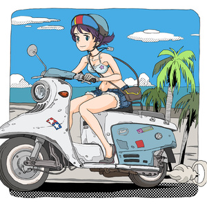 STANDARD⭐️トリプルバンダー⭐️C710⭐️CMP115 STANDARD トリプルバンダー C710 取説有 中古品