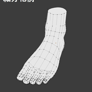 【3Dモデル】足【フリー】