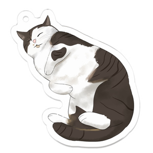 猫ちゃんのアクキー