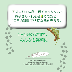 👉「はじめての爬虫類チェックリスト｜毎日の健康管理と気づきメモ」