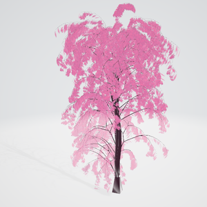 柳桜単体