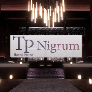 🖤VRChatワールド「Theseus Project : Nigrum（ニグルム）」🖤（ホテル/イベントワールド）