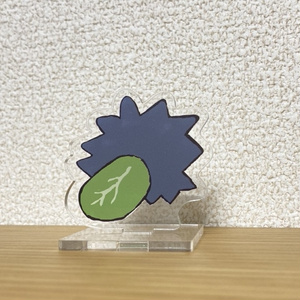 キャベツを食べるウニアクスタ