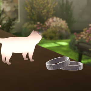CatRingGenerator