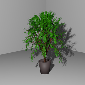【3Dモデル】観葉植物