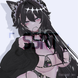 lilSSRT 缩略图 11